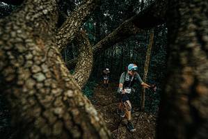 BIB: 
                            <button type="button" onclick="openModal(25698636)" class="btn btn-primary btn-sm float-right btn-popup" data-toggle="modal" data-target=".modal-high-quality">
                        <i class="fas fa-shopping-cart"></i> Add to Cart
                    </button>
                                            <button type="button" onclick="isThisMe(25698636, true)" class="btn btn-success btn-sm float-right btn-popup btn-isme hidden" data-toggle="tooltip" data-placement="bottom" title="นี่คือรูปของคุณใช่ไหม คลิกที่นี่เพื่อเอาเข้าอัลบั้ม">
                        <i class="fas fa-plus"></i> Add to album
                    </button>
                    <button type="button" onclick="isThisMe(25698636, false)" class="btn btn-warning btn-sm float-right btn-popup btn-isnotme hidden">
                        <i class="fas fa-ban"></i> Remove from album
                    </button>